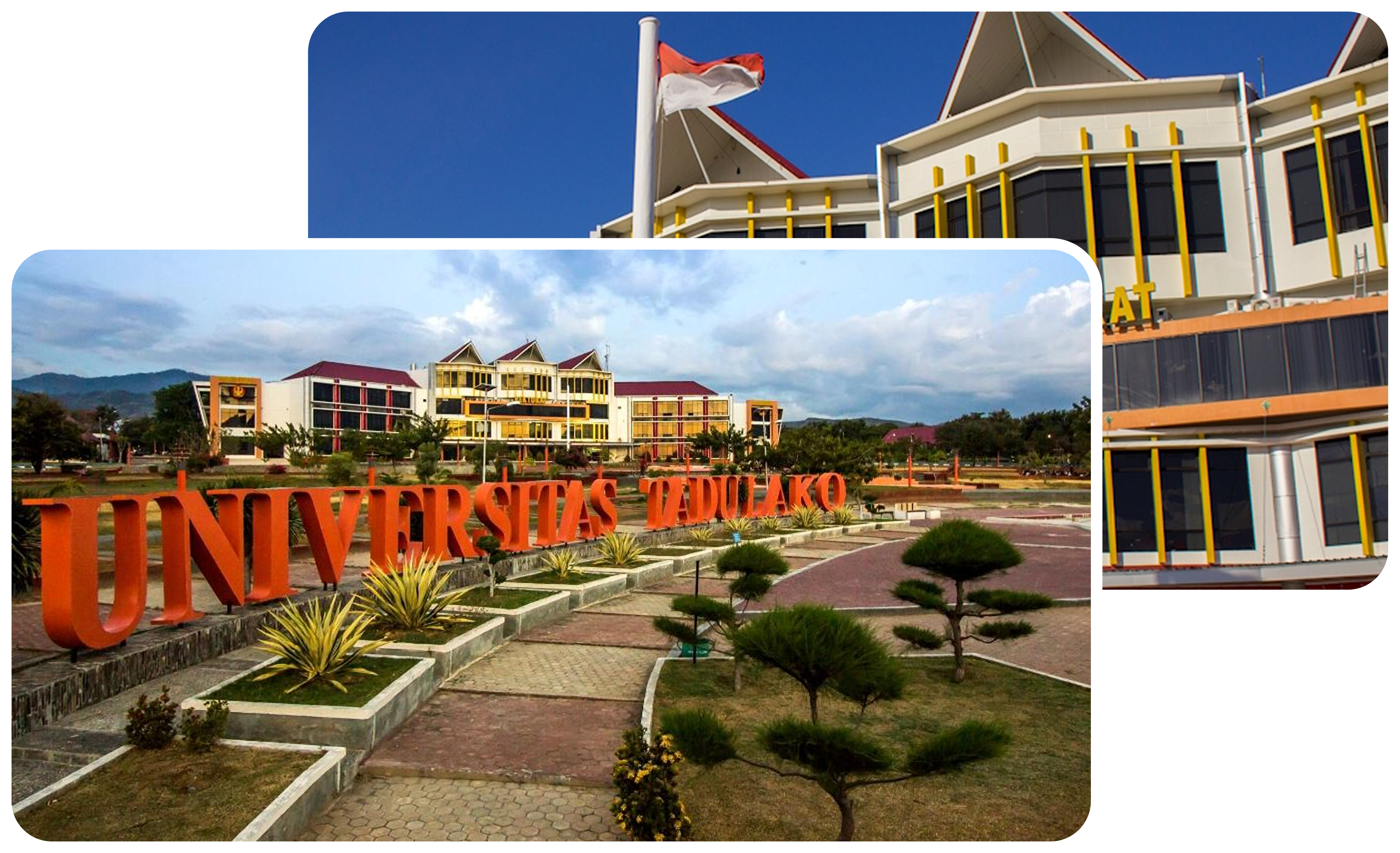 Dashboard illustration